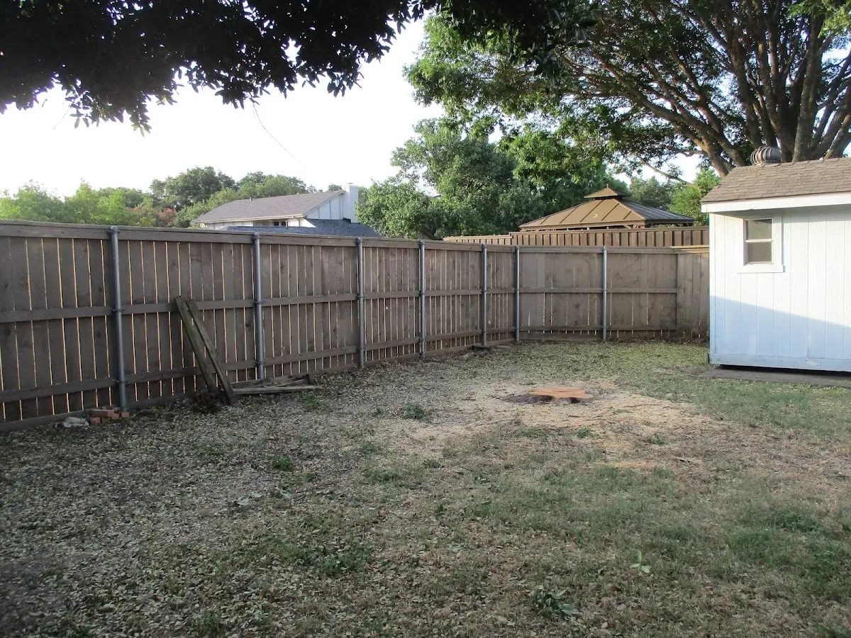 Cleared yard after professional tree removal in Port Clinton