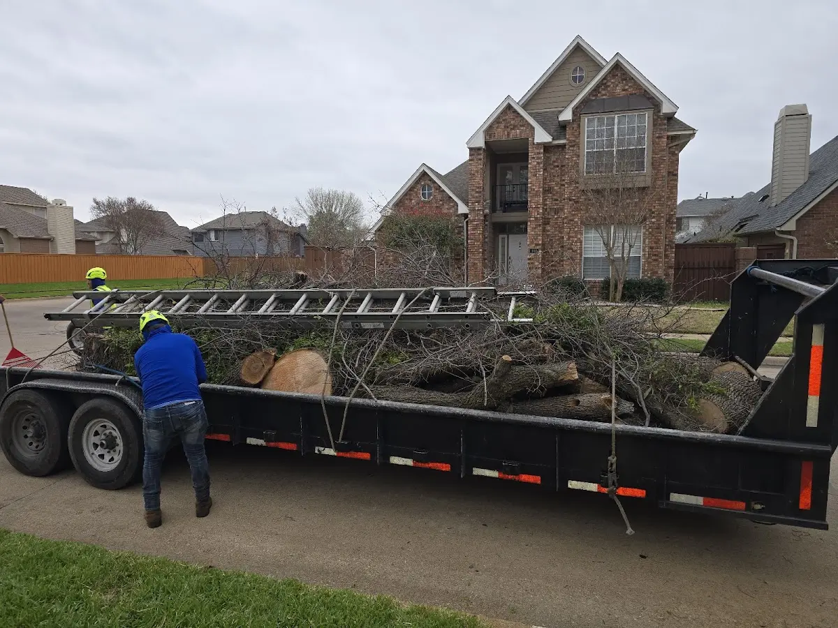 Expert Tree Fertilization with proper safety equipment in Port Clinton